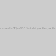 Image of Monoclonal NGF/proNGF Neutralizing Antibody Antibody